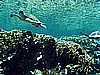 IMG_1812.JPG