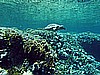 IMG_1813.JPG