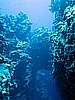 IMG_1837.JPG