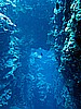 IMG_1838.JPG