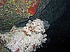 IMG_1839.JPG