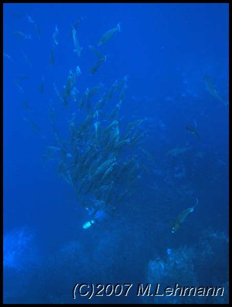 IMG_1899.JPG