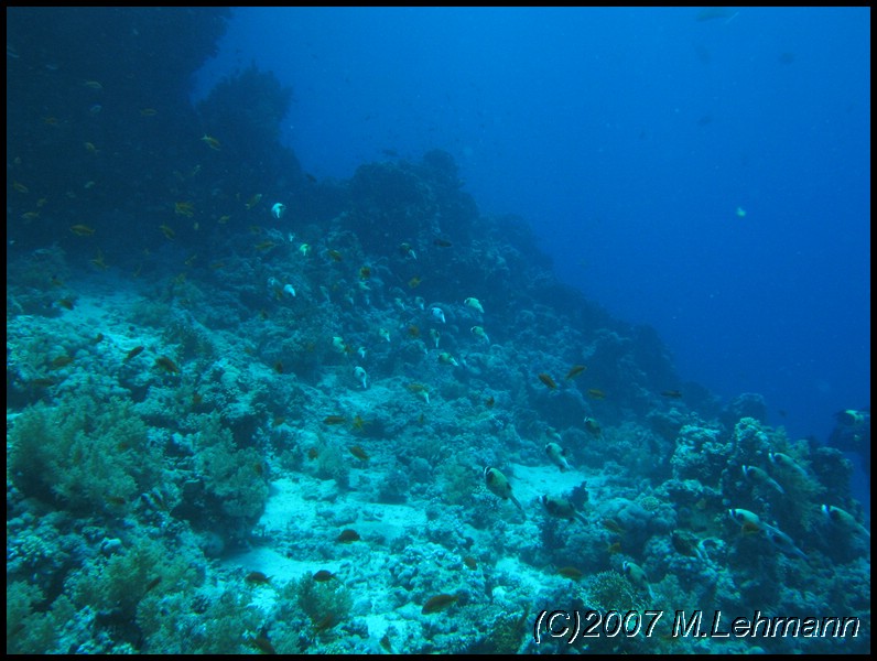 IMG_1925.JPG