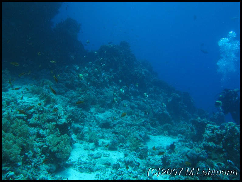 IMG_1926.JPG