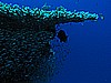 IMG_1860.JPG