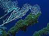IMG_1864.JPG