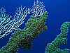 IMG_1866.JPG
