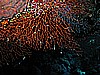 IMG_1867.JPG