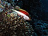 IMG_1874.JPG