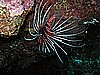 IMG_1875.JPG
