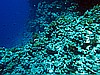 IMG_1879.JPG