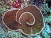 IMG_1885.JPG