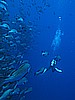 IMG_1889.JPG