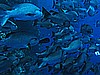 IMG_1892.JPG