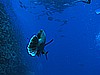 IMG_1897.JPG