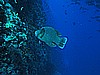 IMG_1898.JPG