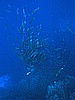 IMG_1899.JPG