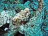 IMG_1907.JPG