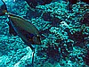 IMG_1912.JPG