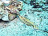 IMG_1917.JPG