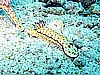 IMG_1919.JPG