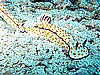 IMG_1920.JPG