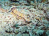 IMG_1921.JPG