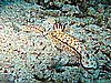 IMG_1922.JPG