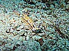 IMG_1923.JPG