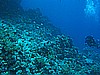 IMG_1924.JPG