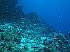 IMG_1925.JPG