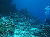 IMG_1926.JPG