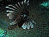 IMG_1928.JPG