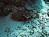 IMG_1929.JPG