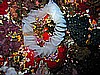 IMG_1941.JPG