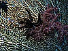 IMG_1943.JPG