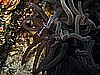 IMG_1945.JPG