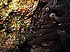 IMG_1951.JPG