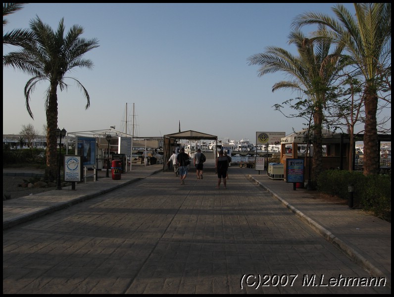 IMG_1956.JPG