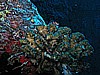 IMG_1973.JPG