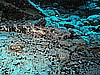 IMG_1983.JPG