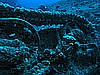 IMG_1986.JPG