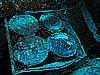 IMG_1992.JPG