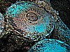 IMG_1994.JPG