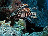 IMG_2002.JPG