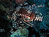 IMG_2003.JPG