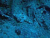 IMG_2016.JPG