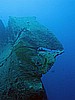 IMG_2017.JPG