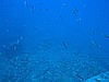 IMG_2024.JPG