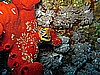 IMG_2037.JPG